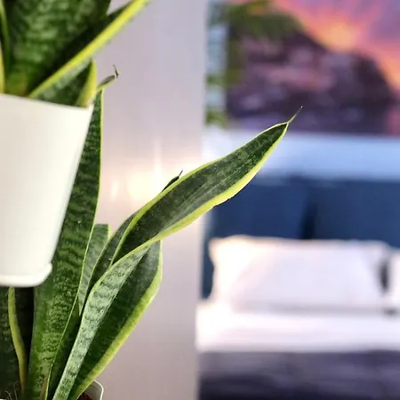 Charmelise アパート *