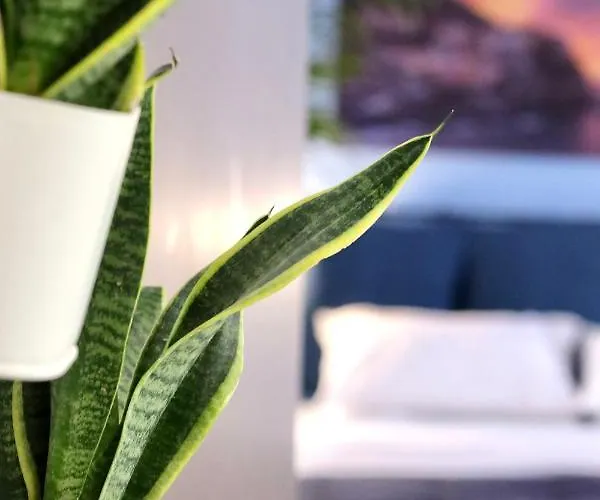 Charmelise Lejlighed *