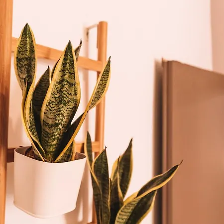 Apartamento Charmelise La Spezia